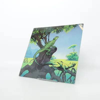 Vinylplade