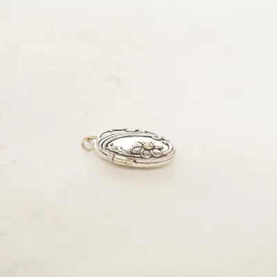 Pendentif (Argent) Métal inconnu