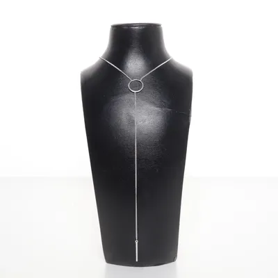 Halsband (Grå) Okänd metall