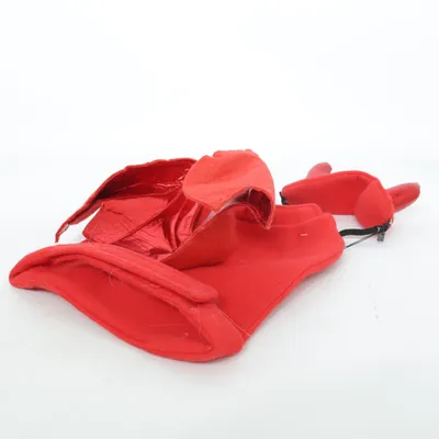 Accessoires de déguisement (Hund)