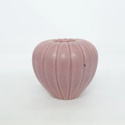 Vaas (Roze)