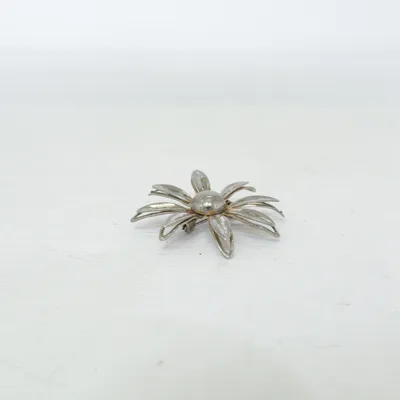 Brosch (Silverfärgad) Okänd metall