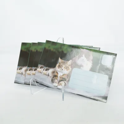 Kuvert (cute cat envelopes, cat stationery, kitten letter envelopes, kawaii cat mail, aesthetic stationery, vintage style envelopes, animal lover gift, cat themed paper goods, cute office supplies, journaling accessories, scrapbook stationery, pen pal supplies, snail mail aesthetic, cottagecore stationery, kawaii aesthetic, decorative envelopes, writing set, cute mail supplies, cat lover collectible, stationery lover gift adorable cat design, pastel stationery vibe, cozy aesthetic, cute paper accessories, gift for cat lovers, aesthetic desk setup, journaling community, creative stationery, whimsical design, letter writing set, scrapbooking supplies, kawaii decor, studygram stationery, anime style vibes, soft aesthetic, collectible stationery, charming cat print, unique envelope set, nostalgic mail aesthetic, cozy cottagecore vibes)