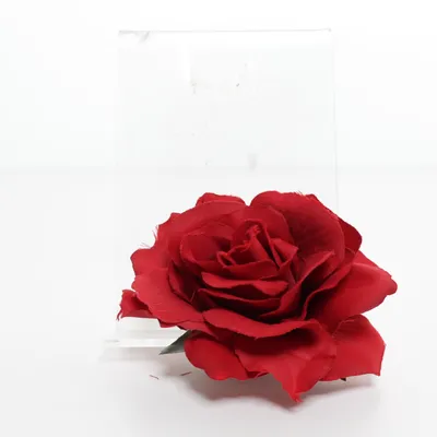 Broche (Rood, Groen) Roestvrij staal