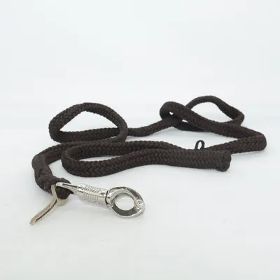 Laisse (Marron) de Showmaster