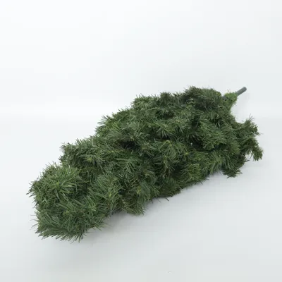 Sapin de Noël (Vert)