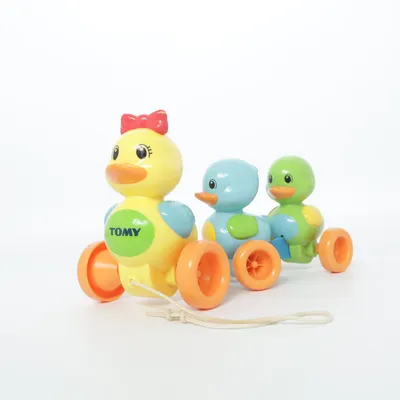 Pull toy (Multicolored) from Tomy