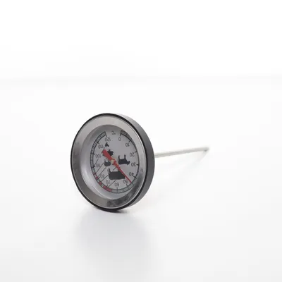 Stektermometer (Silverfärgad) från Rossmann