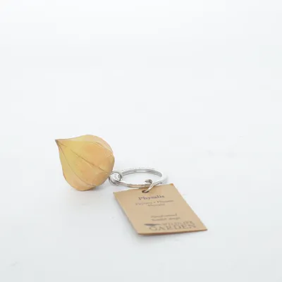 Porte-clés (Physalis) de Wildlife Garden