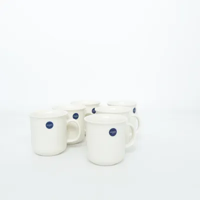 Mug (Arctica) from Arabia