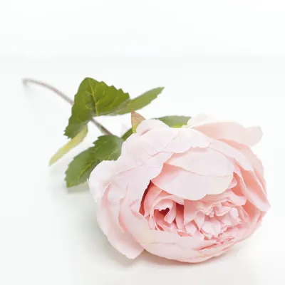 Kunstplant (Groen, Roze) van Flowers Birds Market