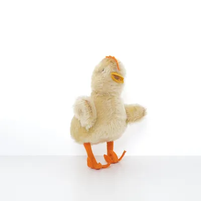 Speelgoed (Geel, Oranje) van Steiff