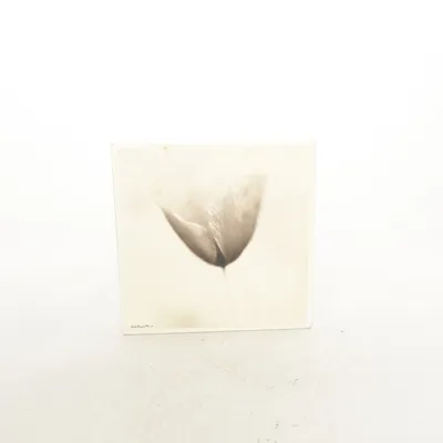 Väggdekoration (Beige) från Kähler