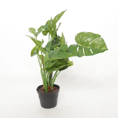 Kunstplant (Groen)