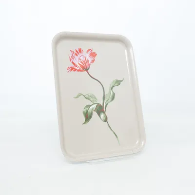 Bricka (Beige, Flerfärgad) från IKEA