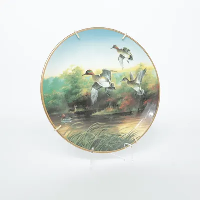 Assiette murale (Multicolore)