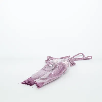 Embrasse de rideaux (Violet) de Elisha