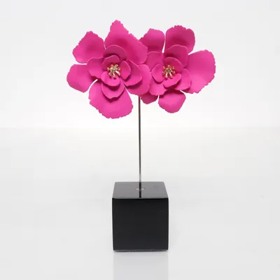 Oorbellen (Roze) Onbekend materiaal