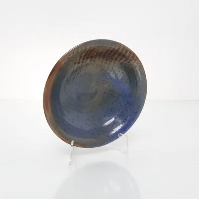 Schaal (Blauw, Meerkleurig)
