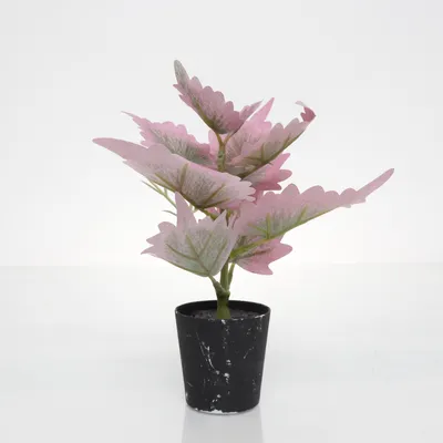 Konstgjord växt (Svart, Flerfärgad)