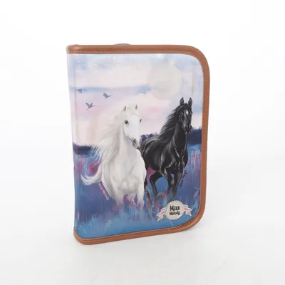 Etui (Blauw, Bruin, Meerkleurig) van Depesche Polyester