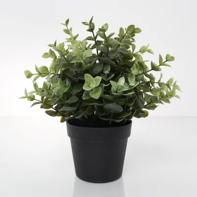 Artificial plant (Black, Green) from IKEA