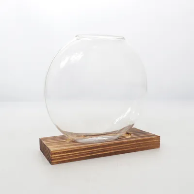 Décoration intérieure (Transparent, Marron)