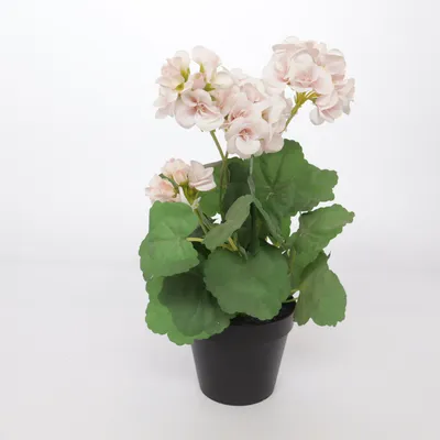 Konstgjord växt (Rosa, Grön, Svart) från IKEA