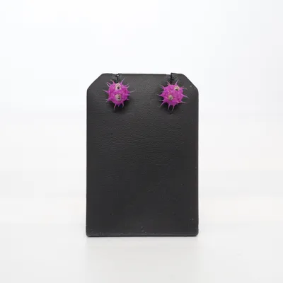 Örhängen (Lila) Okänd metall