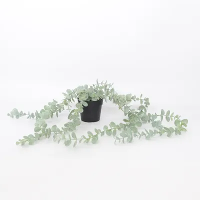 Plante artificielle (Vert) de IKEA