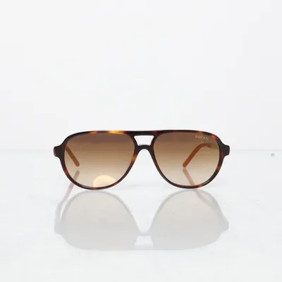 Solglasögon (Brun, Flerfärgad) från Ducati