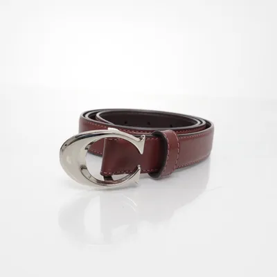 Riem (Bruin) van Coach Leer