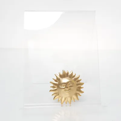 Broche (Goud) Onbekend materiaal