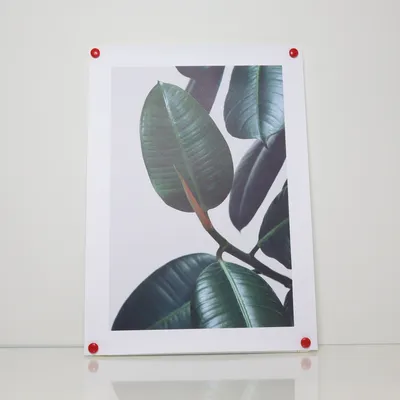 Poster från Desenio