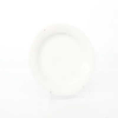 Plate (ARCTICA) from Arabia