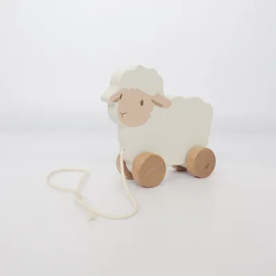 Jouet à tirer (Blanc, Marron) de Little Dutch