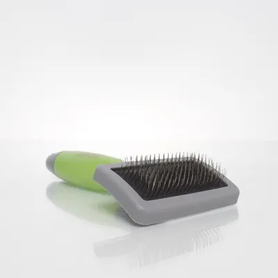 Pälsborste (Grön, Grå) från Moser