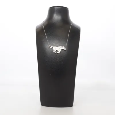 Necklace (Silver) from Friis & Company Unknown metal
