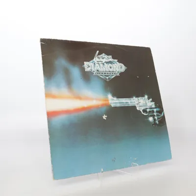 Vinyl record