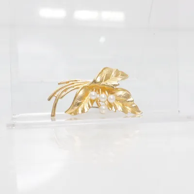 Broche (Goud) Roestvrij staal