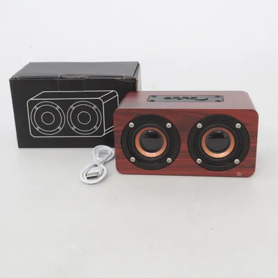 Bluetooth speaker (Bruin)