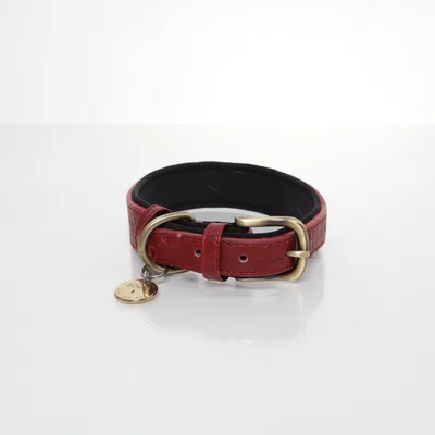 Dog collar (Red) from Bowie
