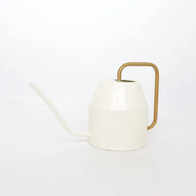 Vattenkanna (Beige, Guldfärgad)