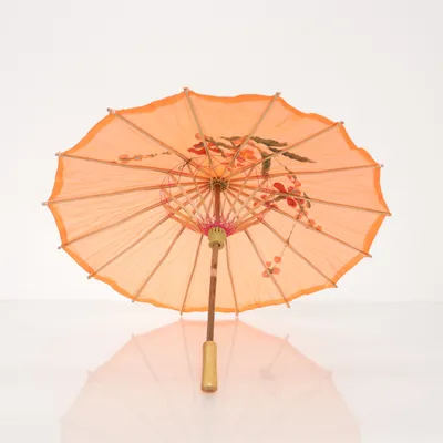 Umbrella (Orange)