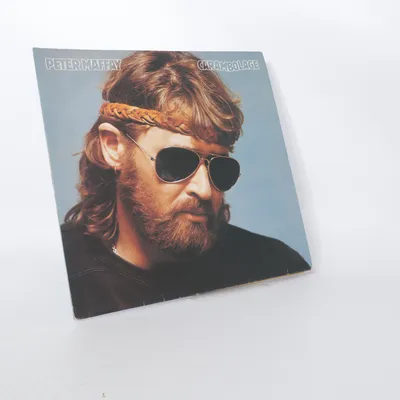 Vinylskiva