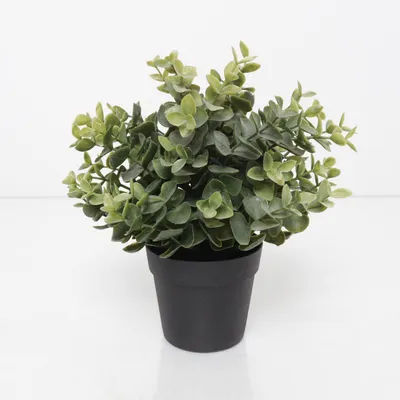 Konstgjord växt (FEJKA) från IKEA