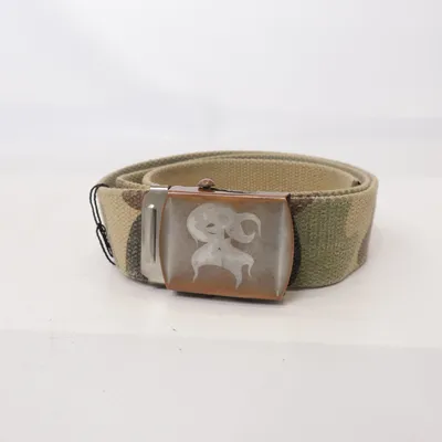 Ceinture (Multicolore)