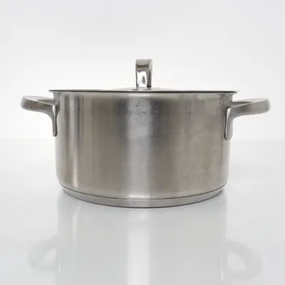Casserole (Silver) from Fiskars
