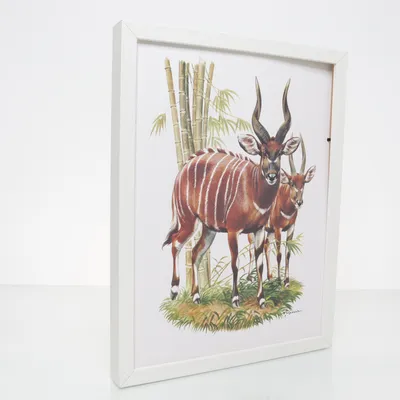 Väggdekoration (Flerfärgad) från IKEA