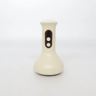 Massageapparat (LW-BG01) från RoHS